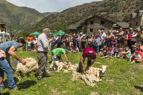Foire d’Arros de Cardos