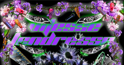 Vitesse Tendresse #2